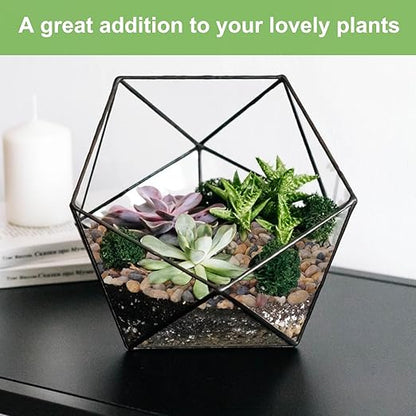 2.5 lbs Drainage Rocks for Potted Plants, 1/5 Inch Small Pebbles for Indoor Plants, Decorative Gravel for Vases, Bamboo, Succulent, Terrarium, Crafts, Cactus