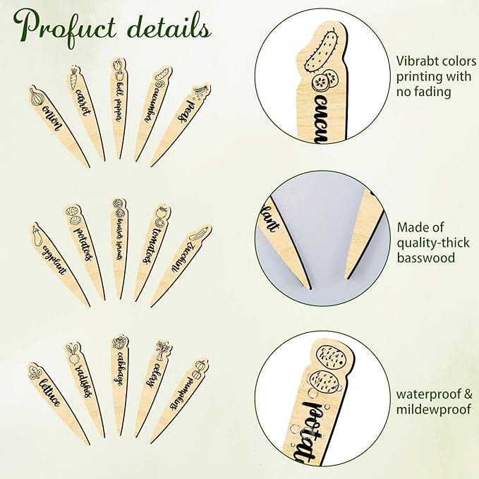 arricraft 15 Pcs Wood Plant Labels, 15 Styles Garden Labels Sign with Vegetable Patterns Vegetable Name Tags Wooden Markers for Indoor and Outdoor Plants Vegetables Seed Potting 6×1inch