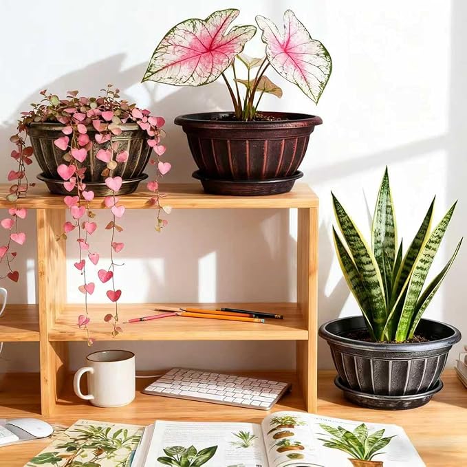 NIKONIKO 12 Inch Plant Pots, 6-Pack Plastic Wide Ribbed Planters with Drain Holes & Trays, Fluted Design Flower Pots for Indoor and Outdoor Plants