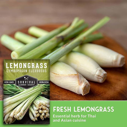 Lemongrass Seeds for Planting - Lemon Scented Asian Lemongrass for Your Home Vegetable Garden - Heirloom Non-GMO Open-Pollinated - Survival Garden Seeds (1 Pack)