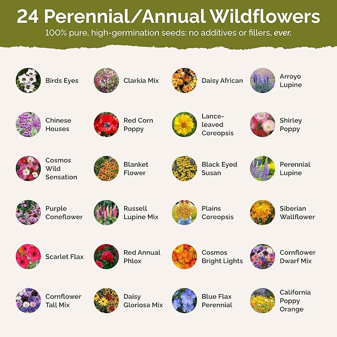 Eden Brothers Texas Wildflower Mixed Seeds for Planting, 1 lb, 480,000+ Seeds with Cornflower, Birds Eyes, African Daisy | Attracts Pollinators, Plant in Spring or Fall, Zones 3, 4, 5, 6, 7, 8, 9, 10