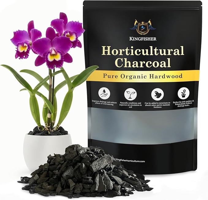 Organic Horticultural Charcoal & Terrarium Charcoal | Charcoal for Plants | Pure Hardwood Charcoal for Planting and Gardening | Organic Canadian Maple Biochar