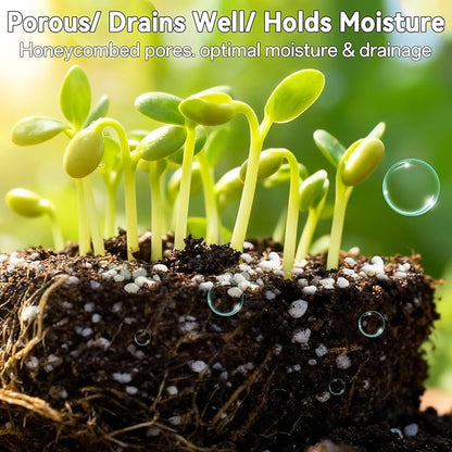 ZeeDix Premium Perlite for Plants, Horticulture Soil Amendment, 3-9mm Granule Size Potted Plant Soil for Orchid Cactus Succulents Carnivorous Monstera Repotting, Indoor Outdoor Gardening, 1QT