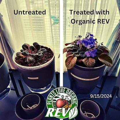 Organic REV Liquid Plant Growth Stimulant – OMRI Listed Organic Soil & Plant Supplement for Vegetables, Flowers & Lawns – Supports Root Development & Nutrient Uptake – 32 Ounce
