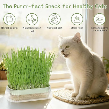 Cat Grass for Indoor Cats with 5Pack Non GMO Seeds, Organic Grass Growing Kit, Soil-Free Planter, Perfect for Beginners, Ideal Birthday Gift for Cat Lovers