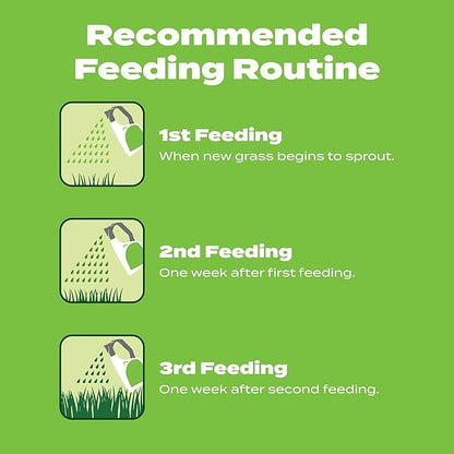 Scotts Turf Builder Starter Food for New Grass Ready-Spray, Use on Newly Seeded Lawns or After Installing Sod, For All Grass Types, 600 sq. ft., 32 oz.