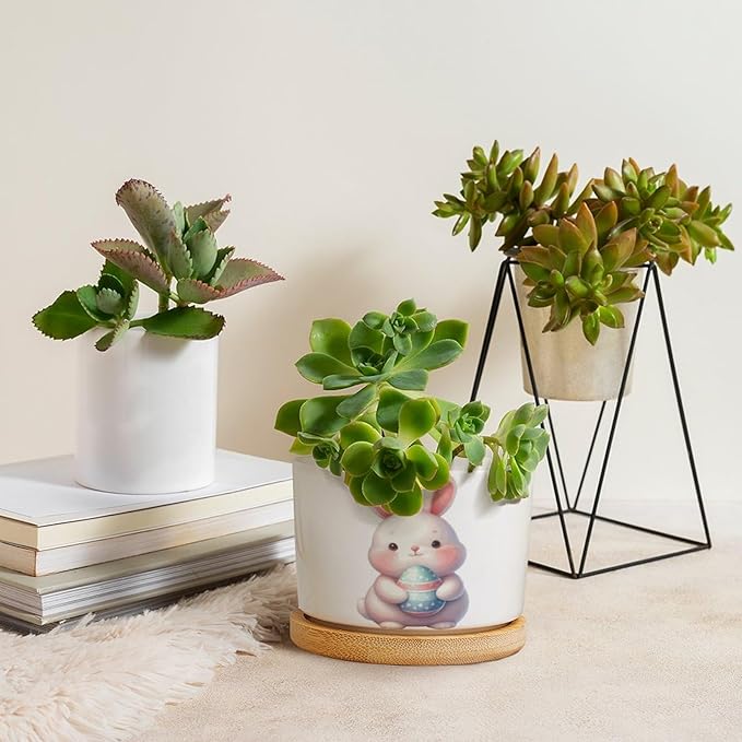 DreamAutumn Easter Bunny Rabbit Ceramic Planters Ceramic Pots with Saucers Orchid Pots for Plants Succulents Pots Office Desk Garden Balconys New Home Decor,Gifts for Mom Mother Grandmother