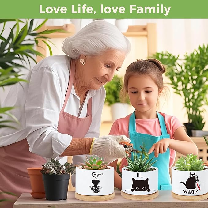 3 Pcs Cat Ceramic Plant Pots,Funny Cat Planter Gifts for Women,for Indoor Plants Garden Planters Succulent Pots, with Drainage Holes and Saucer(No Plants)