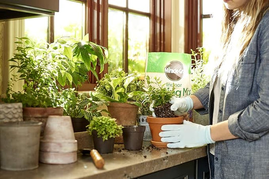 Miracle-Gro Indoor Potting Mix, Indoor Plant Food & Leaf Shine - Bundle of Potting Soil (6 qt.), Liquid Plant Food (8 oz.) & Leaf Shine (8 oz.) for Growing, Fertilizing & Cleaning Houseplants