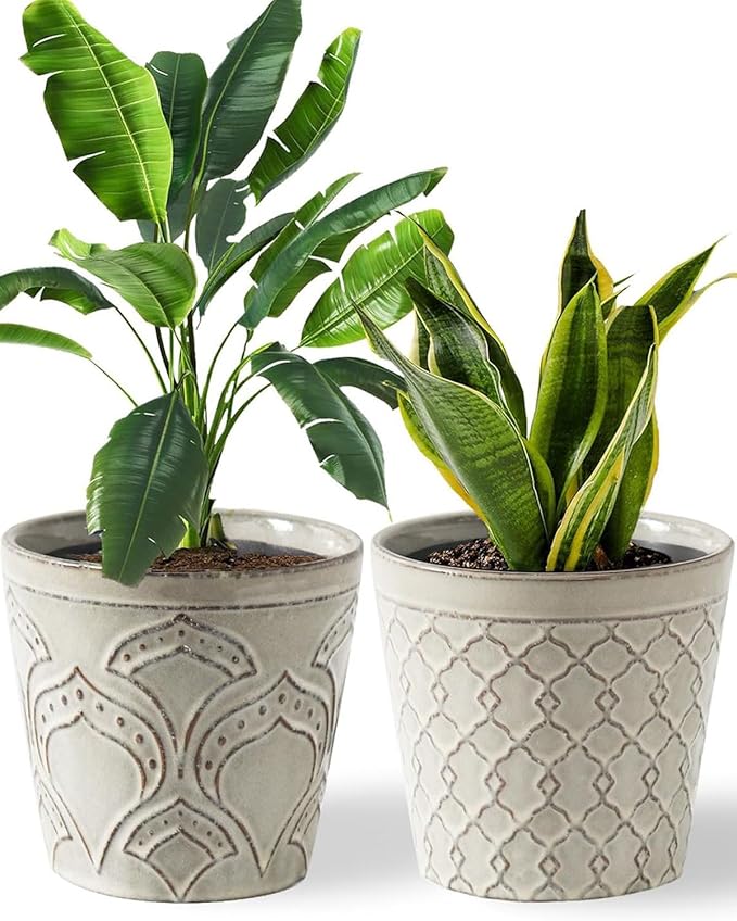 Plant Pots, Planters Pots for Indoor Plants 5.5 Inch Ceramic pots for Plant *2, Flower Pots with Drainage, Planters for Indoor Plants, Small Pots for Plant, Cement Gray
