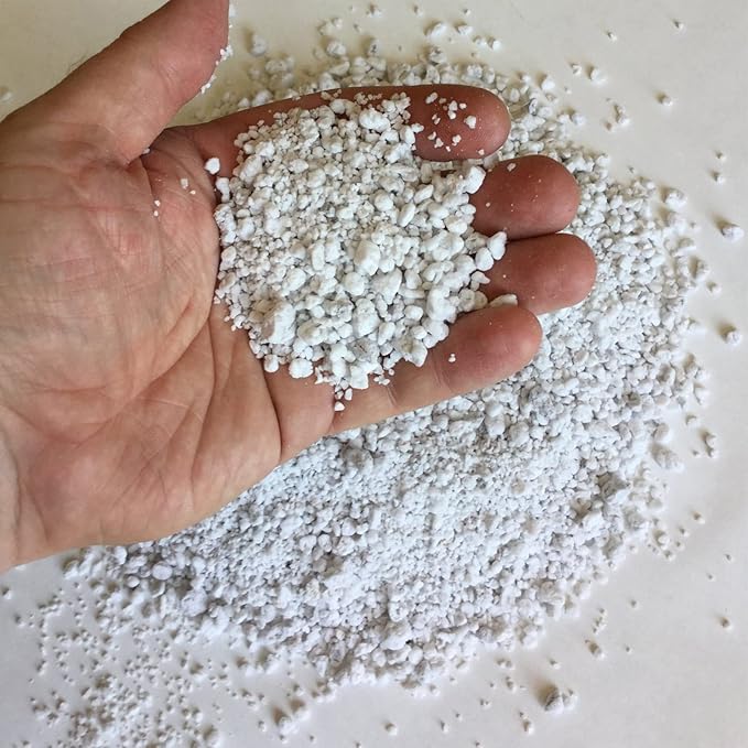 Organic Perlite for Plants, Soil Amendment for Enhanced Drainage and Growth, Ideal for Potting Mixes (1 Quart) (Pack of 2)