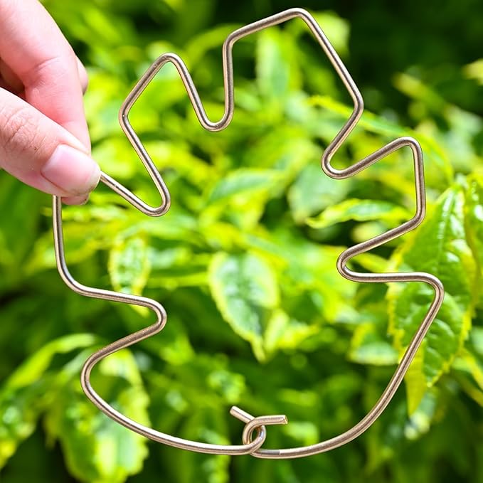 Monstera Plant Stem Support System - 5 Piece Set (5.5x4.7in) | Durable Plant Support Stakes for Climbing Plants & Fishbone Cactus | Ideal Leaf Stabilizer for Indoor Plants & Monstera Care