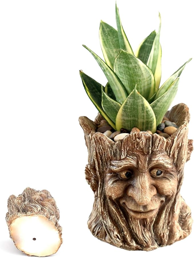 Funny Planter Head Face Plant Pot with Drainage Hole Resin Succulent Plant Holder Pencil Holder Desk Organizer Office Garden Gift (Smile Face)