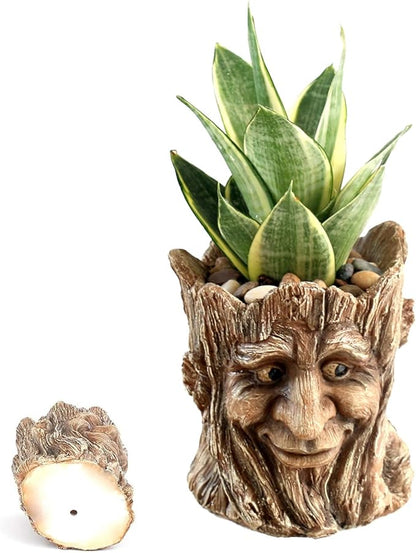 Funny Planter Head Face Plant Pot with Drainage Hole Resin Succulent Plant Holder Pencil Holder Desk Organizer Office Garden Gift (Smile Face)