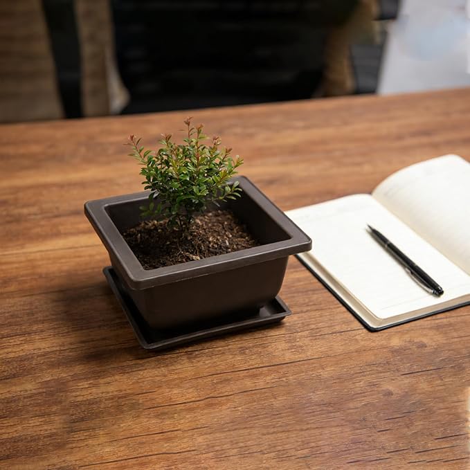 15 PCS 4.7 Inch Bonsai Training Pots, Square Plastic Plants Growing Pots, Flower Succulent Pots Container with 15 Drainage Trays for Garden, Office, Porch, Balcony, Home