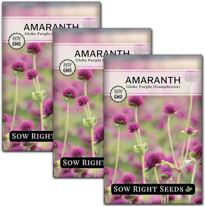 Sow Right Seeds - Purple Globe Amaranth Seeds for Planting - Non-GMO Heirloom Packet with Instructions to Plant & Grow an Outdoor Home Flower Garden - Gomphrena Pompom Flowers - Use Dried for Tea (3)