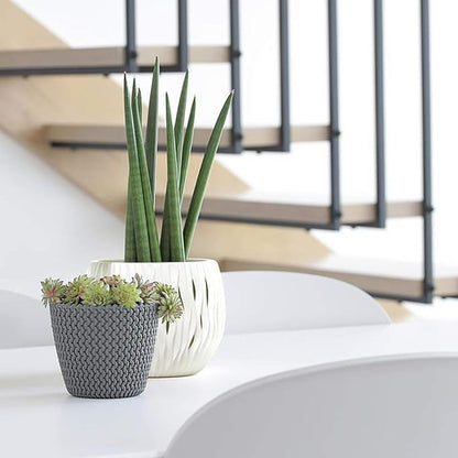 Zanvic Flowerpot splofy 2, Effect Knitted Fabric, 30 cm, Mint, 30 x 30 x 25 cm, za548