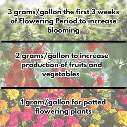 Bloom Booster - Flower Fertilizer for Indoor and Outdoor Plants - Blooming Promoter - Potted Plant Food - Water Soluble Flower Fertilizer - for Roots and Flowers - Tech Grade Raw Materials (1 Pound)
