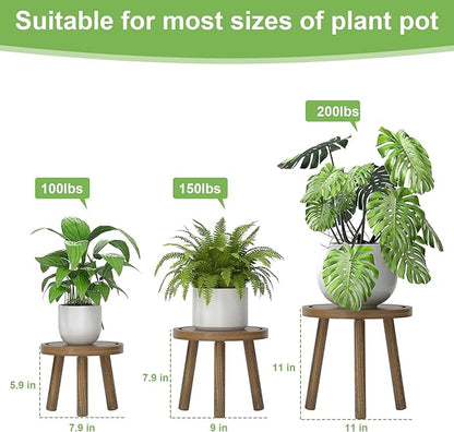 3-Pack Wood Plant Stands Indoor, Single Plant Stand for 6-12 Inch Pots, Mid-Century Modern Plant Stool, Tall Plant Stand for Large Plants for Living Room, Balcony, Office (Dark Gray)