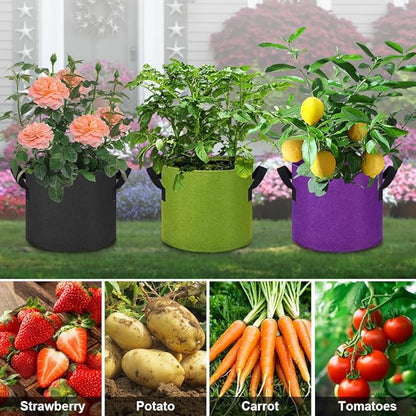 5 Gallon Grow Bags, 12 Pack Multicolor Fabric Plant Pot Bag with Handles Plant Grow Bags for Flowers, Fruits and Vegetables ﻿ (Green+Purple+Black)
