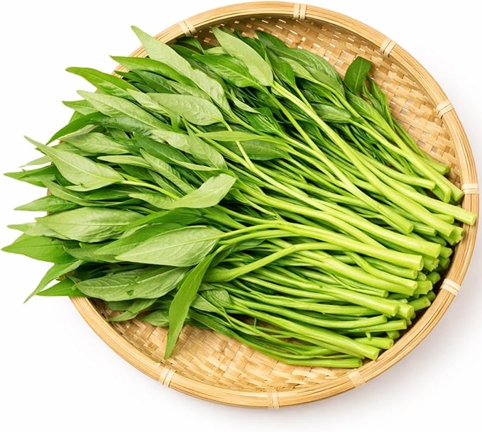 2000+ Water Spinach Seeds - Bulk Pack Kong Xin CAI Vegetable & Kangkong Seeds for Planting, Planting Guide for Easy Grow, for Container Gardening & Home Beds