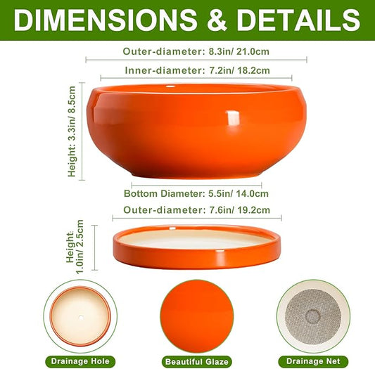 Bonsai Pots 8 Inch - Ceramic Succulent Planter with Drainage Hole and Saucer, Shallow Plant Pot Indoor Outdoor, Round Bowl Planter, Bonsai Tree Pots, Table Decor, Plant Lover Gift, Orange