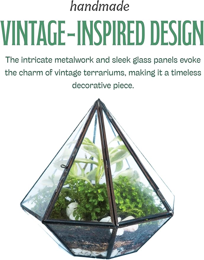 KraftStories Clear Glass Terrarium with Door | Diamond Design Container | Ideal Planter for Moss and Indoor Plants | Maintains Humidity | Self-Sustaining Indoor Garden Ecosystem (Terrarium Only)