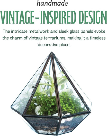 KraftStories Clear Glass Terrarium with Door | Diamond Design Container | Ideal Planter for Moss and Indoor Plants | Maintains Humidity | Self-Sustaining Indoor Garden Ecosystem (Terrarium Only)