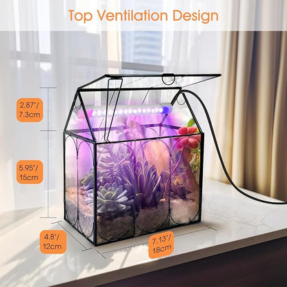 Plant Terrarium Kit with Grow Light, Rifny Small Glass Terrarium Jar with Absorbent Mat and Lid for Venus Fly Trap Succulent Live Air Plants Indoor Home Office Decor (Black, 7.1 x 4.8 x 8.8 inch)