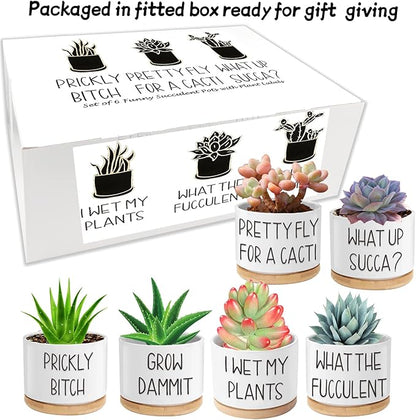Succulent Pots 6 Pack, 3.15” Ceramic Funny Succulent Planters with Drainage and Bamboo Tray, Small Plant Pots with Plant Labels for Indoor Outdoor Plant, Birthday Gifts for Women - Plants Not Included