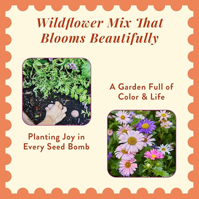 Modern Sprout Wildflower Seed Ball Poop - Easter Basket Essentials - Non-GMO, Hand-Rolled Clay Seed Bombs with Wildflower Seeds - Gardening Gift Set for Kids & Adults - (Easter Plop - Pack of 3)