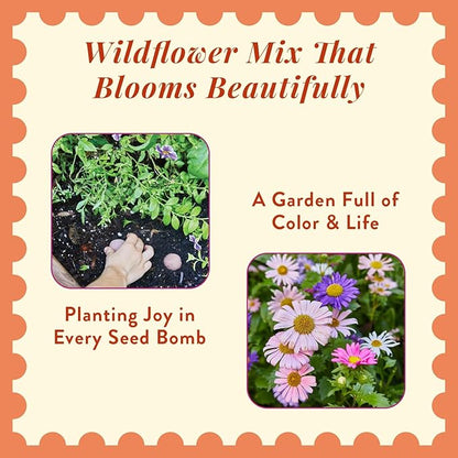 Modern Sprout Wildflower Seed Ball Poop - Easter Basket Essentials - Non-GMO, Hand-Rolled Clay Seed Bombs with Wildflower Seeds - Gardening Gift Set for Kids & Adults - (Easter Plop - Pack of 3)