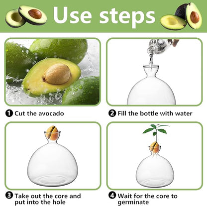 Avocado Tree Growing Kit,Avocado Seed Starter Vase,Glass Plant Pot with Avocado Stickers,Plant Indoor Grow Gardening Gifts
