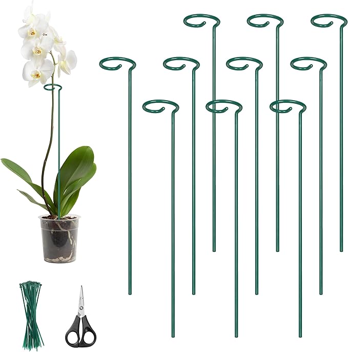 Kingsyard 24 Inch Plant Support Stake - 10 Pack, 4.5mm Thick All Metal Garden Plant Stakes Plant Prop for Single Stem Flowers Dahlia Amaryllis Orchid Lily Rose Peony Tomatoes Gladiolus