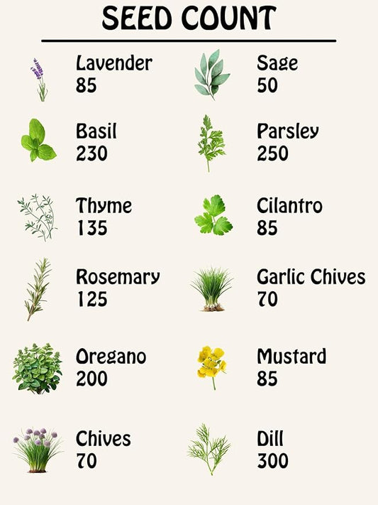 Herb Seed Pack Collection - 12 Varieties Including Basil, Parsley, Rosemary, Dill, Chives, Garlic Chives, Oregano, Mustard, Thyme, Cilantro, Sage & Lavender - Great for Gardening & Cooking