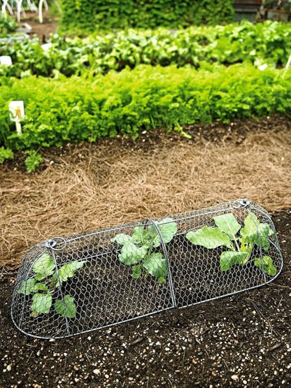 Gardener’s Supply Company Chicken Wire Cloche Garden Row Plant Protector | Sturdy Metal Protection for Seedlings and Crops from Wild Animals & Pets | 2 Section Set