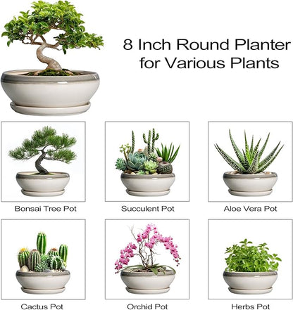 SQOWL Bonsai Tree Pots - 8 Inch Ceramic Succulent Pots with Drainage Hole and Saucer, Shallow Round Planter Indoor Outdoor, Ceramic Bonsai Pot, Planter Bowl, House Decor, Plant Lover Gift, Gray-Beige