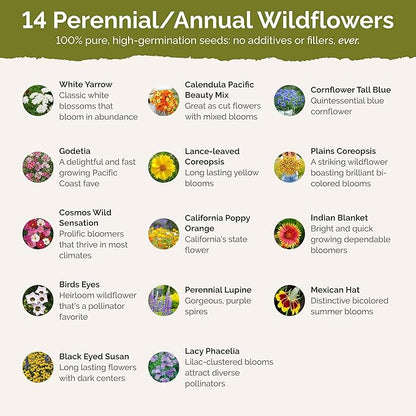 Eden Brothers North Dakota Wildflower Mixed Seeds for Planting, 1/4 lb, 120,000+ Seeds with Calendula, Sunflower | Attracts Pollinators, Plant in Spring or Fall, Zones