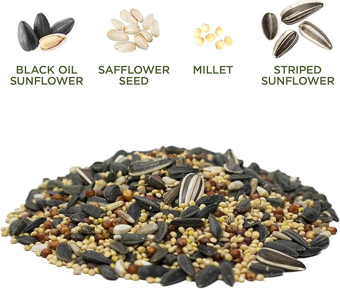Audubon Park Songbird Supreme Wild Bird Seed for Outside Feeders, 15-lb. Bag