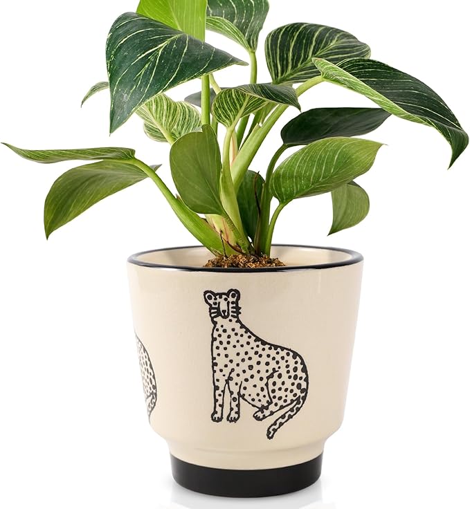 5 Inch Ceramic Planters for Indoor Plants, Funny Small Plant Pots with Drainage, Unique Decorative Cute Flower Pot Panthers Round Flowerpots