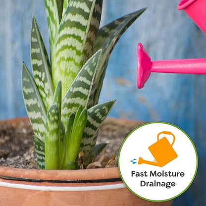 Perfect Plants Organic Snake Plant Soil in 8qt. Bag | Coco Coir Based Potting Mix Snake Plant Varieties