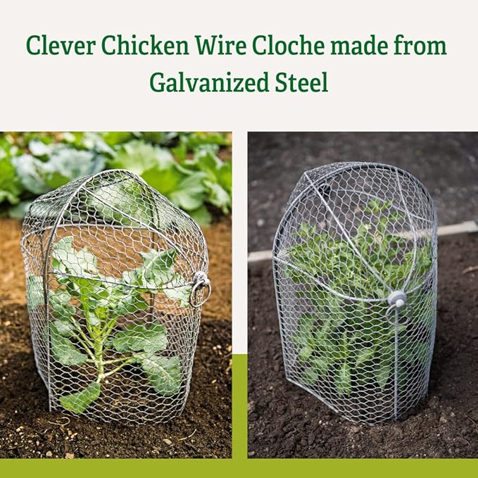 Gardener’s Supply Company Chicken Wire Cloche Garden Row Plant Protector | Sturdy Metal Protection for Seedlings and Crops from Wild Animals & Pets | 2 Section Set