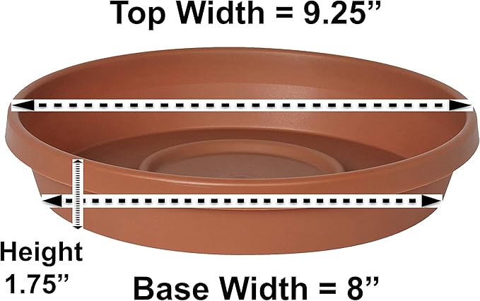 Bloem Terratray 1.7 in. H x 5.3 in. Dia. Resin Traditional Terracotta Clay Tray