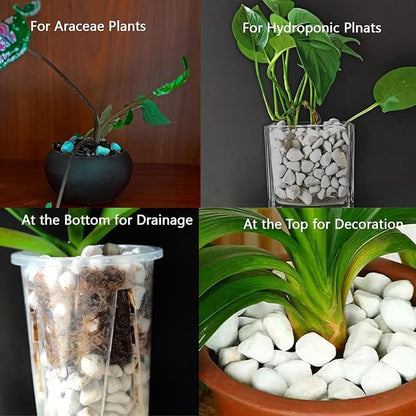 Natural Organic 1-2CM Chunky Perlite 5QT for Plants Horticultural Coarse Pearlite Bulk Potting Mix Garden Soil Amendment for Enhanced Drainage and Ventilation for Indoor Outdoor Plants