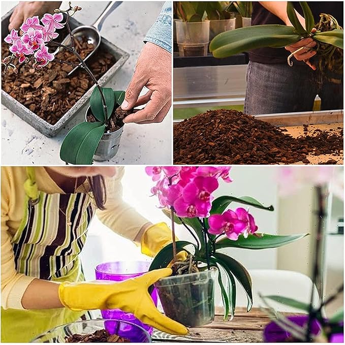 All Purpose Soil Potting Mix - Orchid Bark & Organic Perlite for Plants - All Natural Soil Media Has Good Drainage for Planting or Orchid Repotting (1 qt)