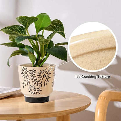 Indoor Ceramic Plant Pots with Drainage Holes 5 Inch Cute Succulent Flower Pots Small Orchid Planter Pots for Indoor Plants Garden Pots, Flower