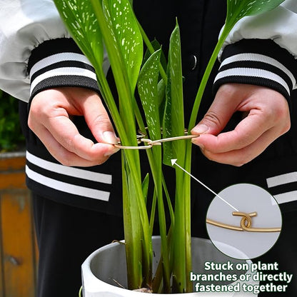 Monstera Plant Stem Support - 5 Piece Set, 4.13x2.95in Durable Leaf Holder & Fishbone Cactus Stake for Healthy Growth of Climbing Plants - Easy to Use Indoor Plant Decor