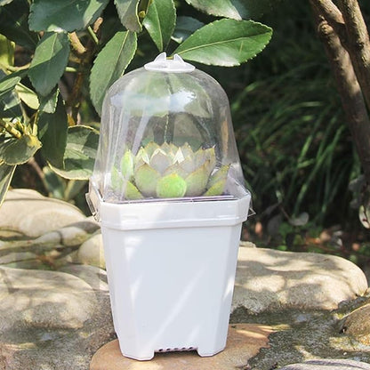 Purple Star 1N 30 PCS Plant Nursery Pots with Humidity Dome-Gardening Pots Small-Square Planting Containers Cups for Succulents Seedlings Cuttings Transplanting (30 PCS-S)