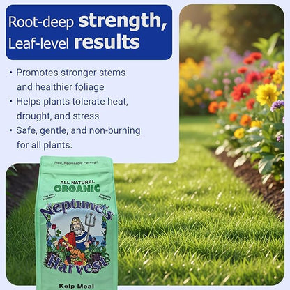 Neptune's Harvest Kelp Meal Multi-Purpose Plant Food 1-0-2, 4 lb