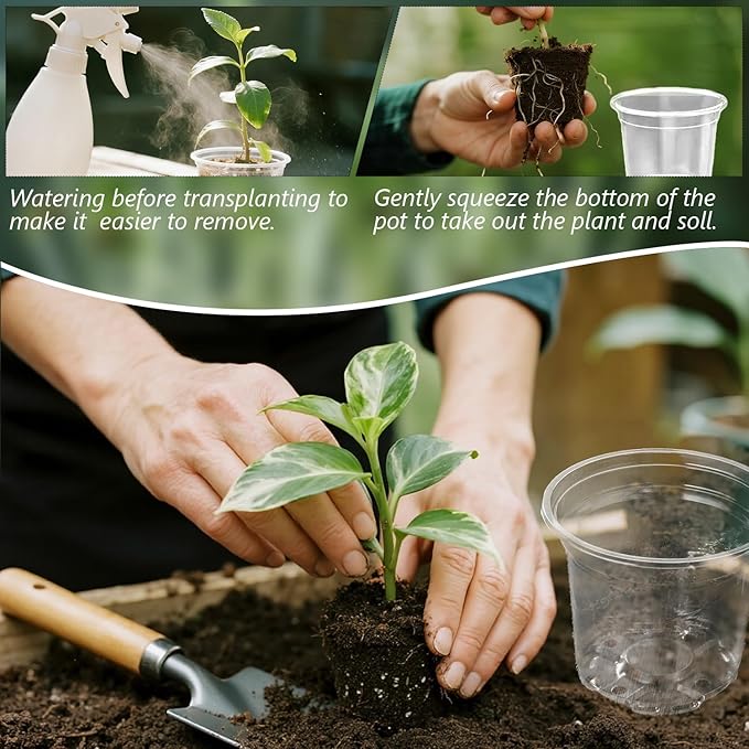 MAFONE Clear Nursery Pots 5/4/3.5 Inch, Plastic Seed Starter High Transparency Plastic Seedling Plant Pot with Drainage Holes15 Labels (15Pcs)